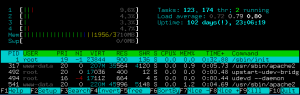 Uptime with Htop
